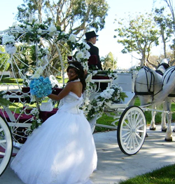 Quinceañera woman in a wedding dress standing next to a horse drawn carriage