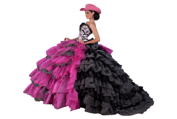 gown Gown