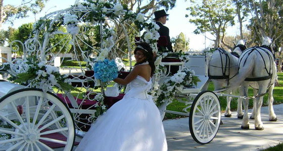 Quinceañera Carriage, a woman in a Quinceañera dress standing next to a horse drawn carriage