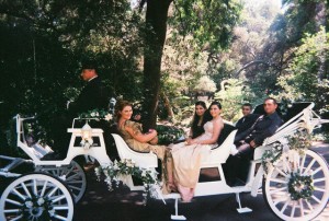 Quinceanera carriage, a group of people sitting in a horse drawn carriage