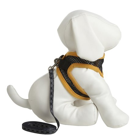 accesorios para tu mascota