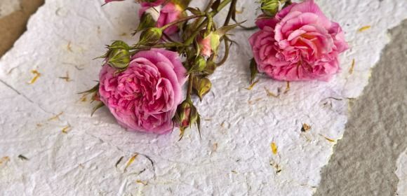 quince invitation lettering guide