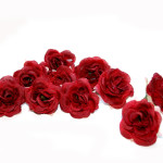 A Quinceanera themed image featuring a bunch of red roses on a white surface