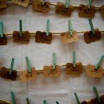 A Quinceanera themed image featuring a bunch of clothes pegs hanging on a clothes line