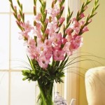 Floral arrangement for Quinceanera, featuring a vase filled with pink gladiolos on a table