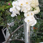 Flora, a flowering plant, in a vase with white flowers on a table at a Quinceanera