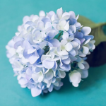 lilac Floral design