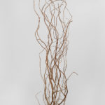 A vase with a plant in it sitting on a table, surrounded by curly follaje branches