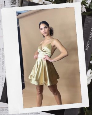 fashion model Dress