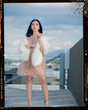 fashion model Dress