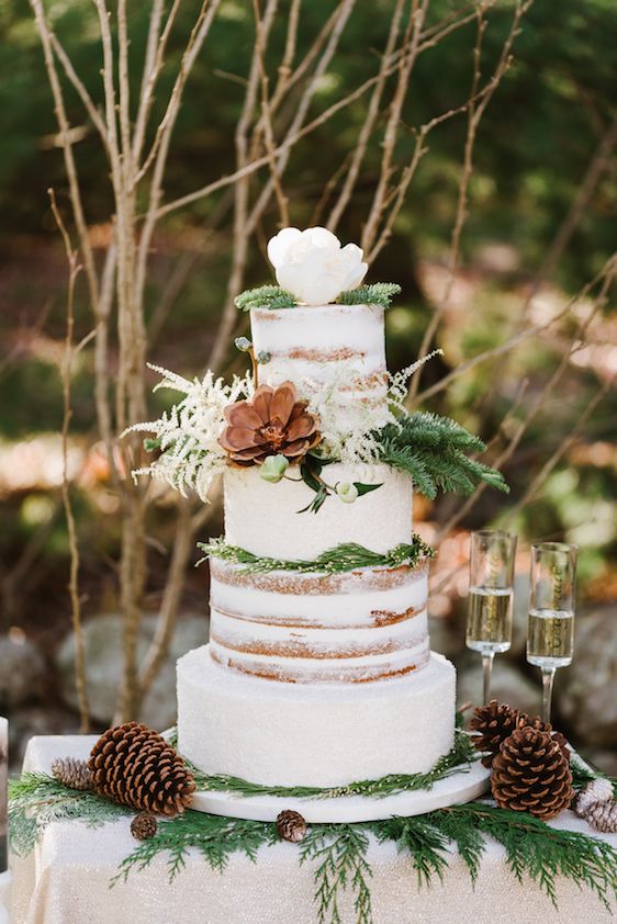 A Quinceanera-themed naked cake decorated with pine cones and greenery