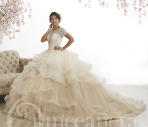 Quinceanera gown, a woman in a Quinceanera dress posing for a picture