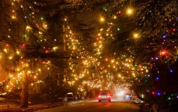 christmas-tree-lane