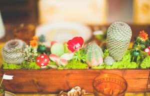 Quinceanera centerpiece featuring Mario, a wooden box filled with succulents and plants