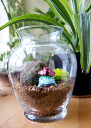 A Quinceanera-themed image featuring a flowerpot aquarium, a glass vase filled with plants and rocks.