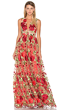 Quinceanera: A woman wearing a floral dress for the special day