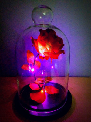 light Candle
