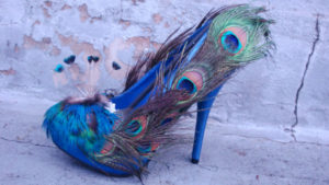 feather Peafowl