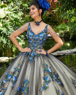 Quinceanera gown - a woman in a blue and gray dress posing for a picture