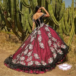 Quinceanera Gown, a woman in a red ball gown standing in front of a pond