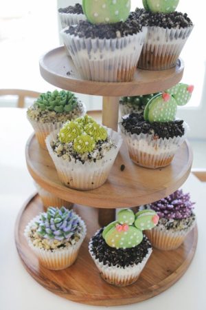 Quinceanera themed cupcakes with cactus and succulents on a wooden stand