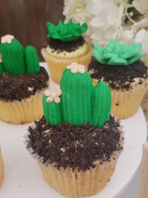 Quinceanera cupcake, cupcakes decorated with cactus plants and dirt
