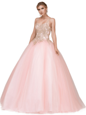 Quinceanera, a woman in a pink ball gown posing for a picture