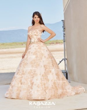 A woman in a Quinceanera gown posing for a picture