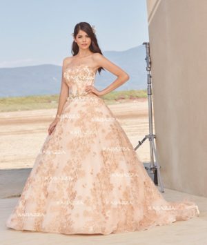 Quinceanera dress, a woman in a Quinceanera dress posing for a picture