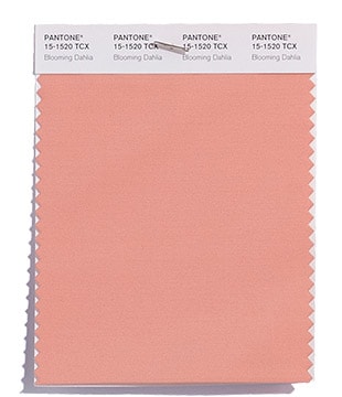 A Quinceanera image featuring a Pantone Cotton Swatch 15-1520 Blooming Dahlia, a light pink color