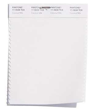 A piece of paper with a white background featuring Quinceanera color scheme resembling coconut milk