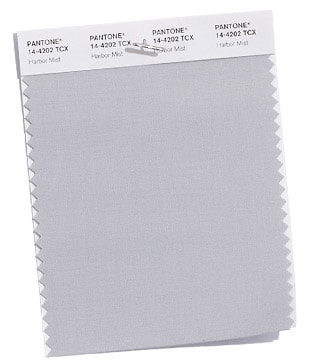 Two Quinceanera themed images: one with a Pantone swat in gray color and the other with a white background