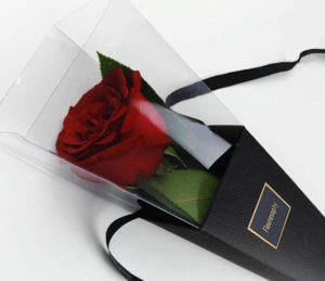 A red rose in a clear box on a white surface, representing a Quinceañera in the rose family