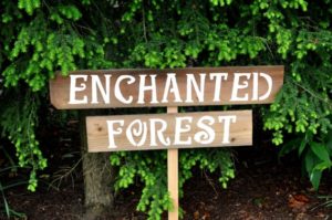 An image of a Quinceanera nature reserve Forest with a wooden sign that says enchanted forest