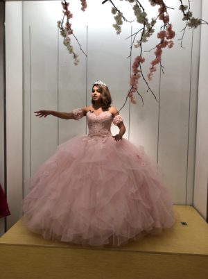 A woman in a pink Quinceanera gown posing for a picture
