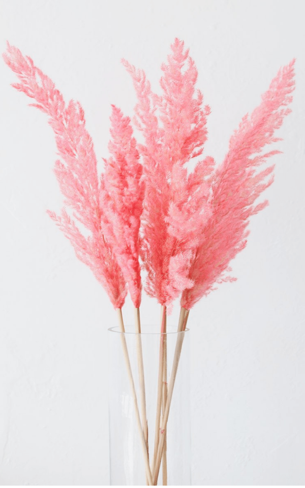 Pink pampas grass leaves for decor 