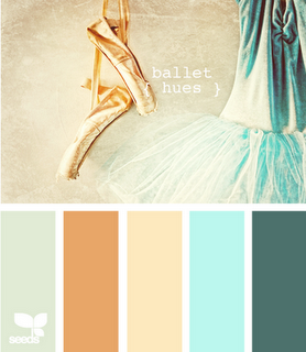 A Quinceanera image featuring a color palette of shoulder color, a ballerina's dress, and ballet shoes.