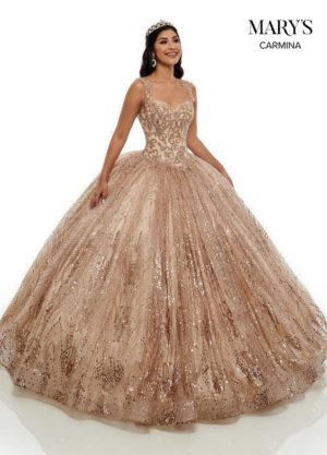 Quinceanera gown, a woman in a ball gown posing for a picture