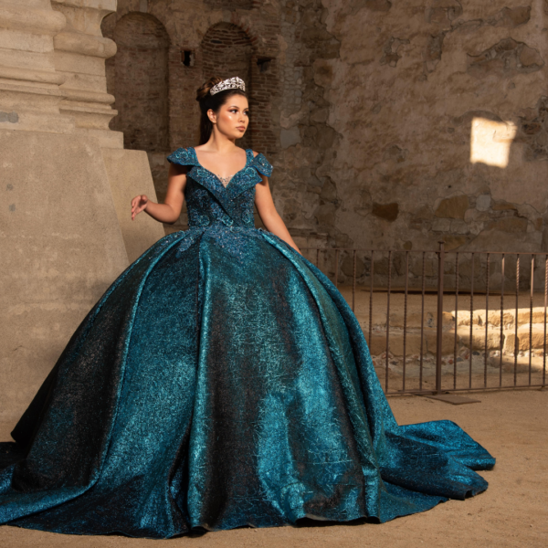 gown Dress