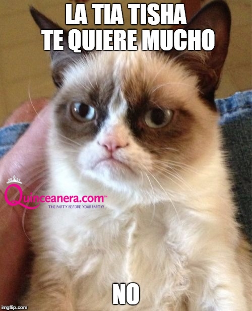 cat_meme