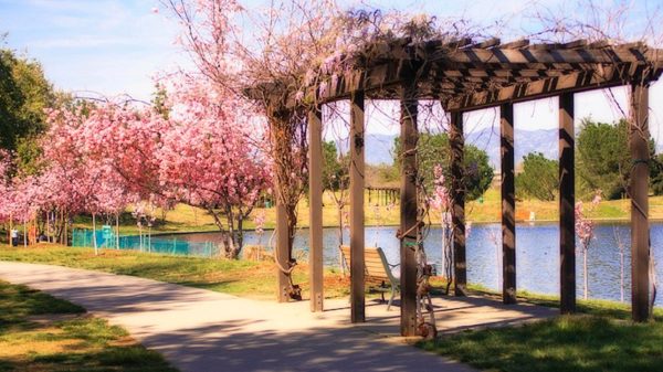 lake-balboa-park