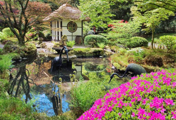 the-japanese-garden-la