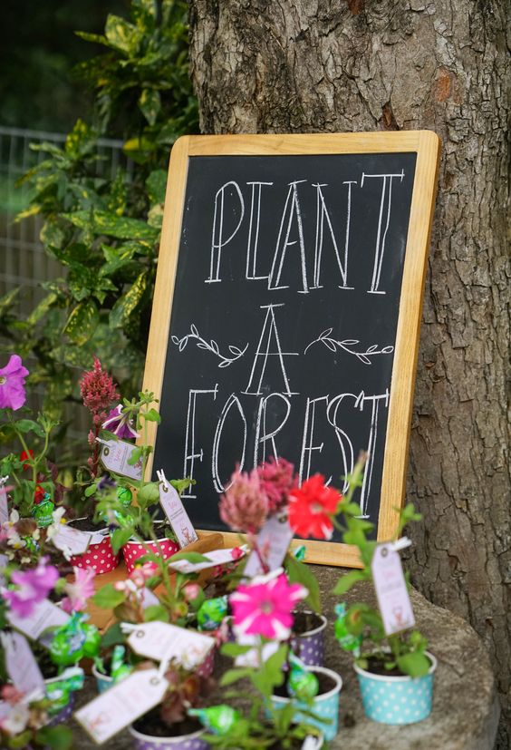 Enchanted forest Quinceanera party favors, with a sign that says 'Plant a Forest' next to potted plants
