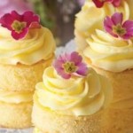 Quinceanera themed image featuring three cupcakes with yellow frosting and pink flowers made from buttercream