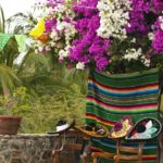 A colorful blanket draped over a chair next to a potted plant at a Quinceanera celebration