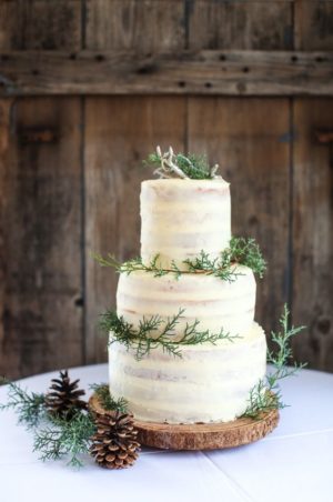 Quinceanera winter engagement cake, a three tiered cake with pine cones and greenery