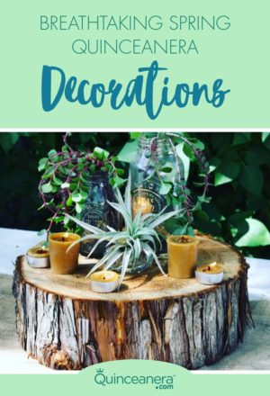 Quinceanera theme image: a flowerpot Herb, a tree stump with a plant in it and the words