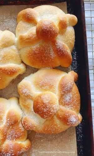 A Quinceanera themed image featuring a meme of Pan de Muerto, a delicious baking pan filled with freshly baked bread, symbolizing the Quinceanera celebration.