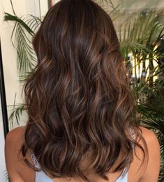 Quinceanera: The back of a woman's head with long brown hair